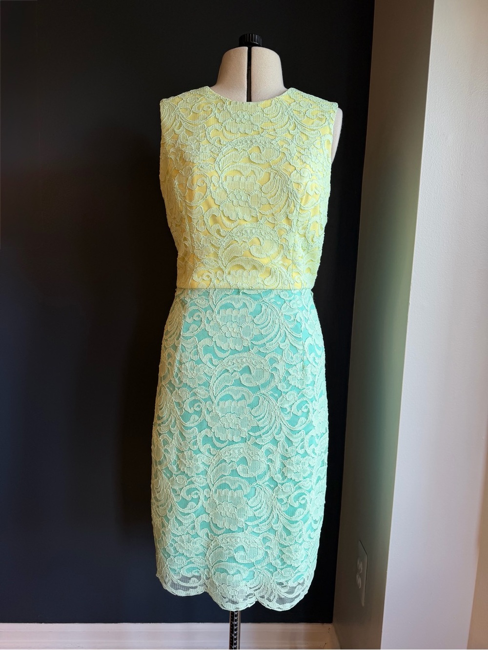 Maggy London Petites, Sleeveless Corded Lace Overlay Sheath Dress - Picture 6 of 10